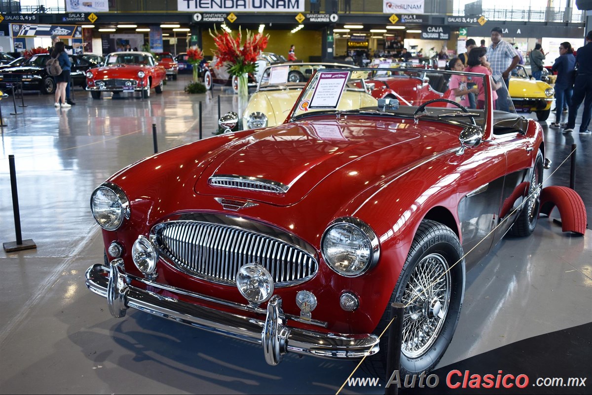 1962 Austin Healey 3000 MKII Motor 6L de 3000cc 136hp