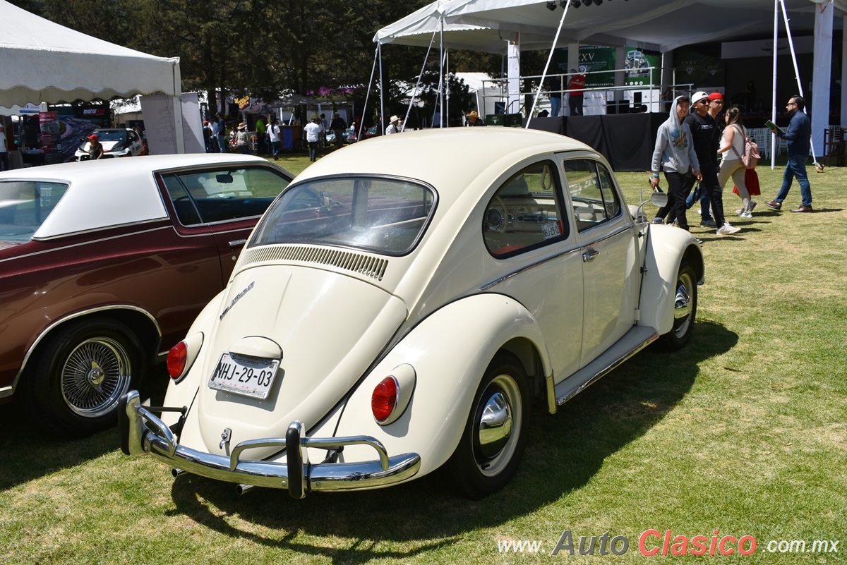 1965 Volkswagen Sedan